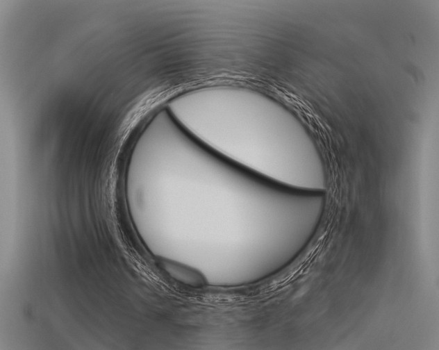 X0000115820242200911131112