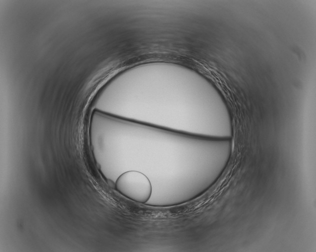 X0000115820243200911131112