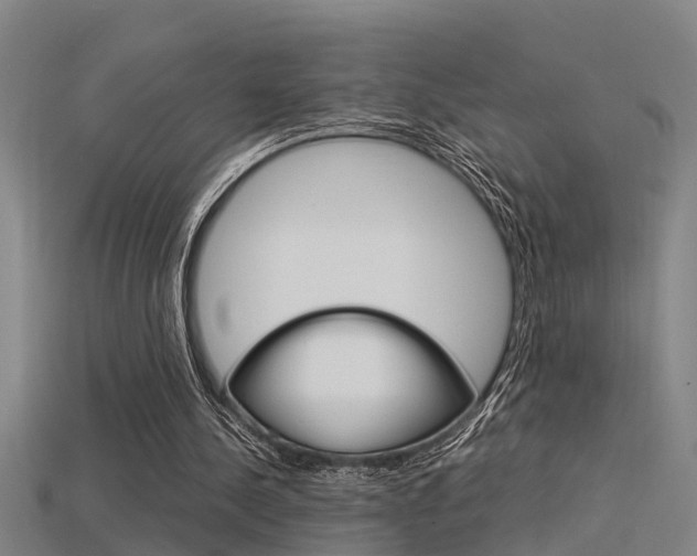 X0000115820244200911131112