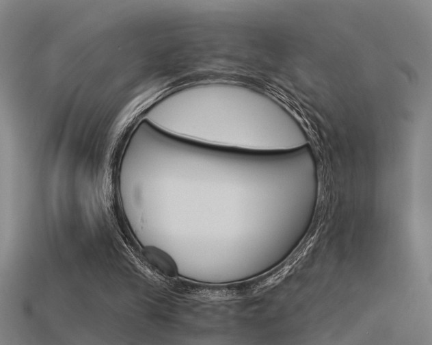 X0000115820245200911131112