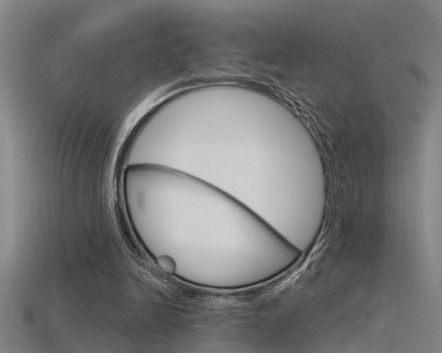 X0000115820246200911131112