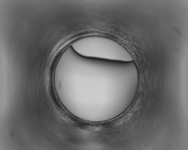 X0000115820247200911131112