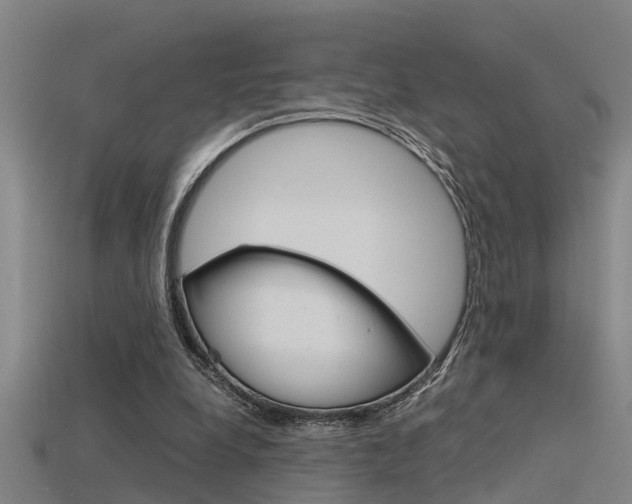 X0000115820248200911131112