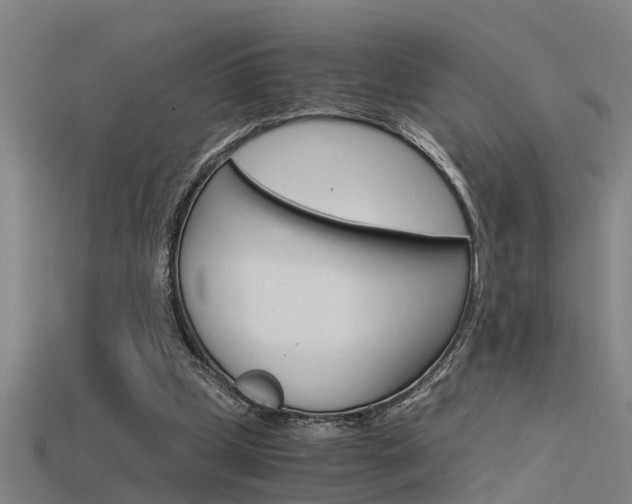 X0000115820249200911131112