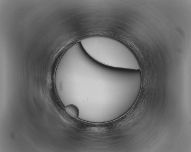 X0000115820251200911131112