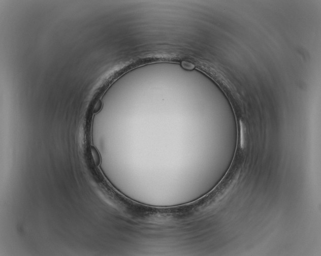 X0000115820252200911131112