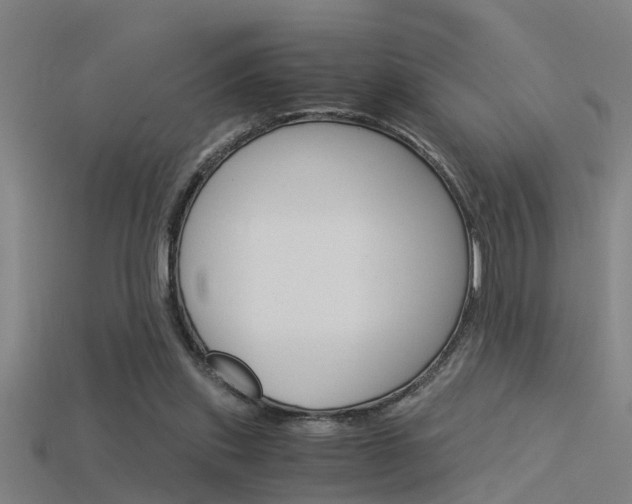 X0000115820253200911131112