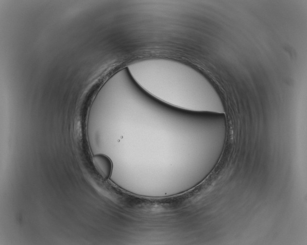 X0000115820254200911131112