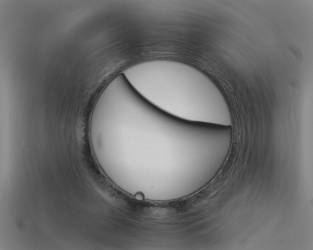 X0000115820255200911131112