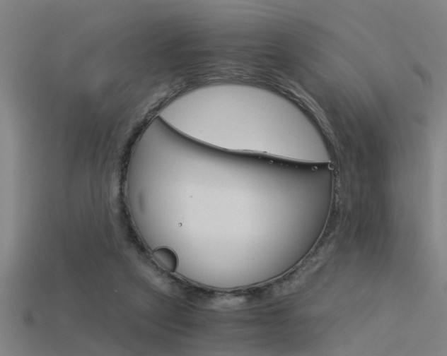 X0000115820257200911131112