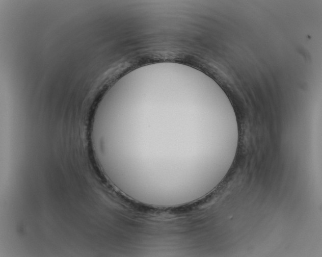 X0000115820258200911131112