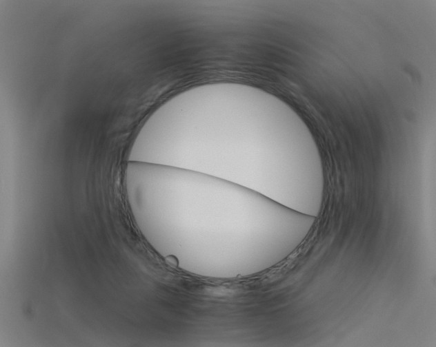 X0000115820259200911131112