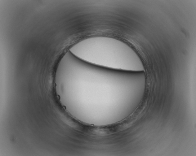 X0000115820261200911131112