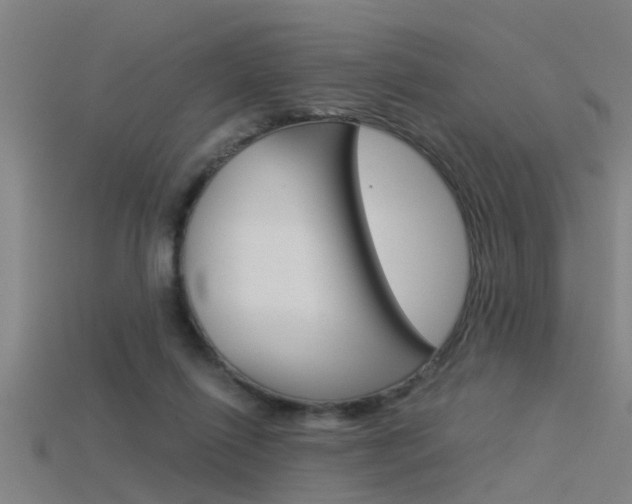 X0000115820262200911131112