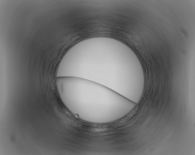 X0000115820263200911131112