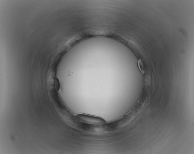 X0000115820264200911131112