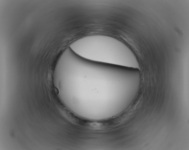 X0000115820265200911131112