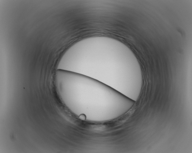 X0000115820266200911131112