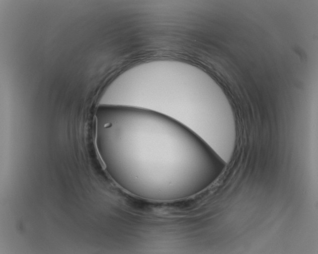 X0000115820268200911131112