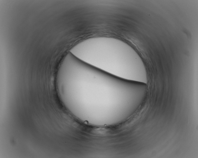 X0000115820269200911131113