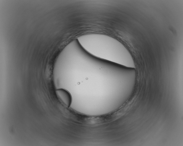X0000115820273200911131113