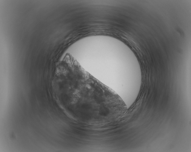 X0000115820277200911131113