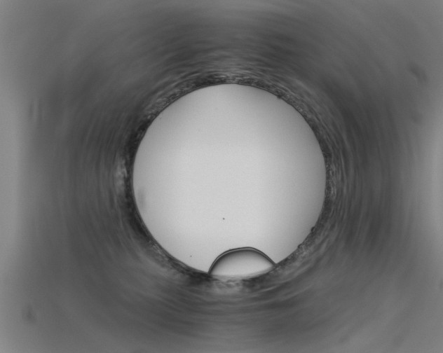 X0000115820279200911131113