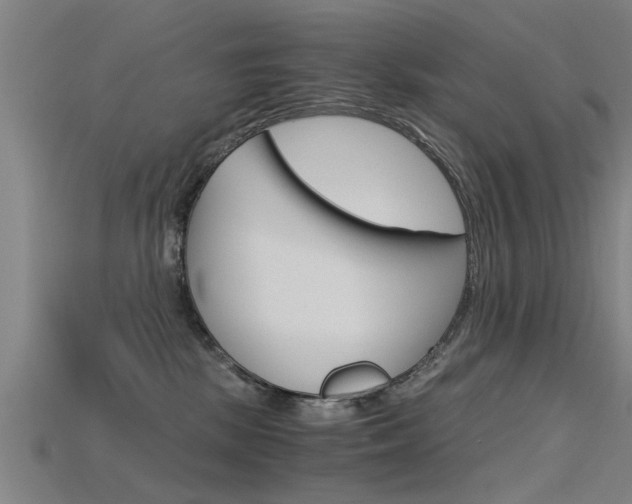 X0000115820281200911131113