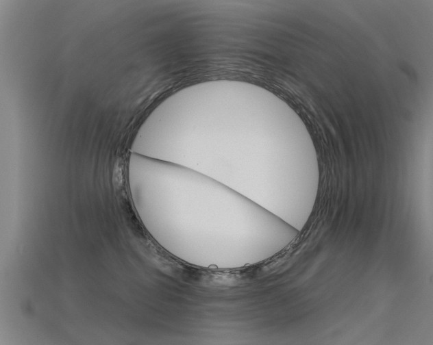 X0000115820282200911131113