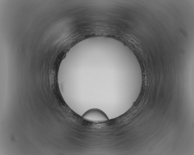 X0000115820283200911131113