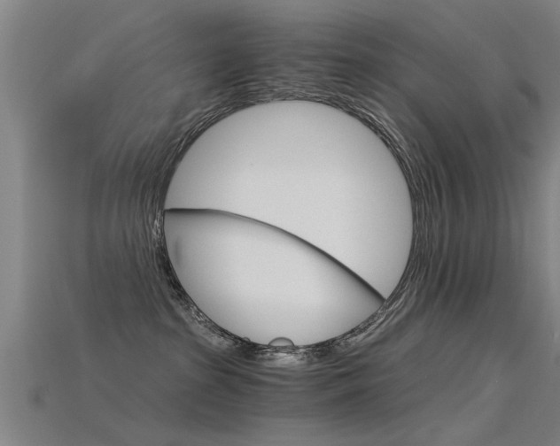 X0000115820285200911131113