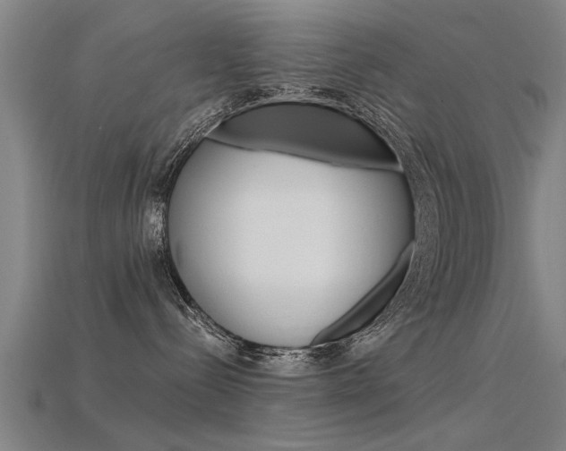 X0000115820288200911131113