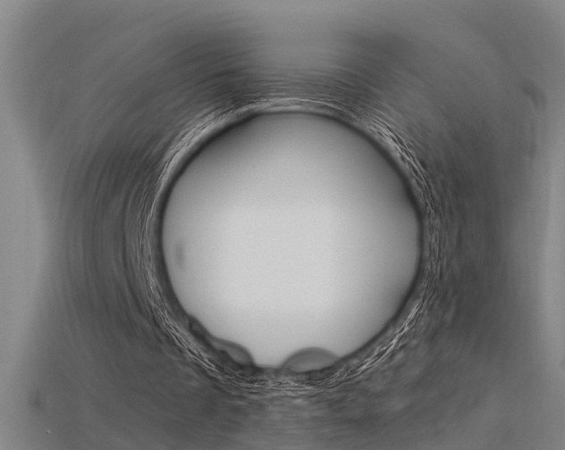 X0000115820289200911131112