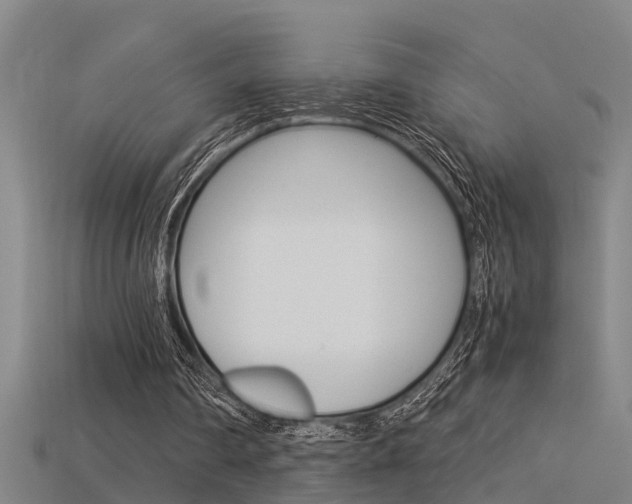 X0000115820290200911131112