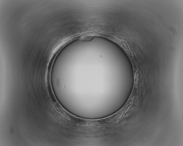 X0000115820292200911131112