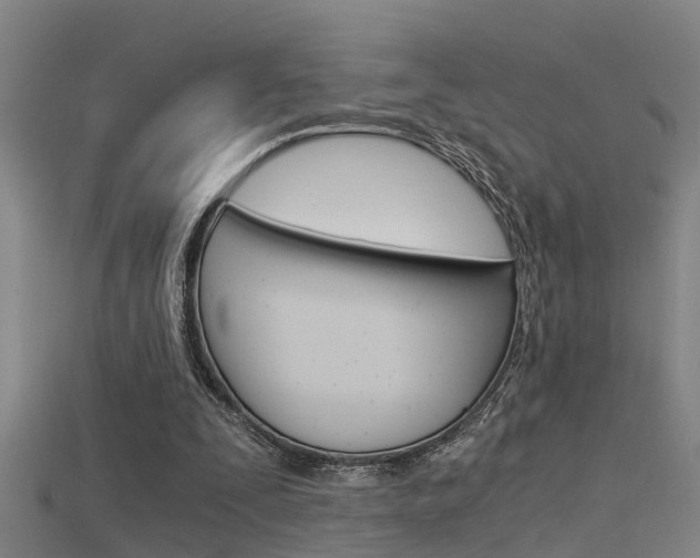 X0000115820295200911131112