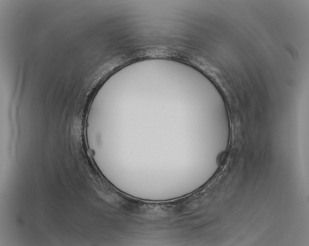 X0000115820297200911131112
