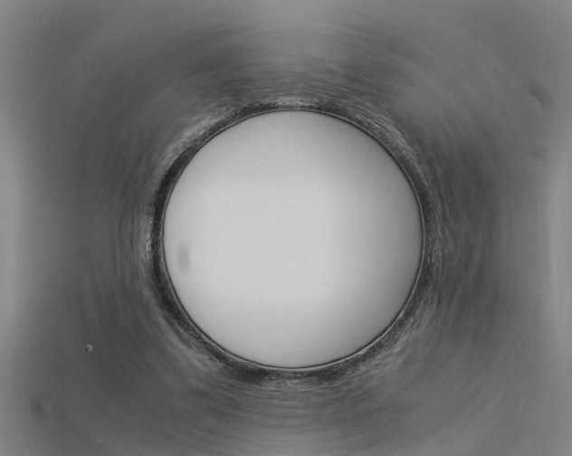 X0000115820299200911131112