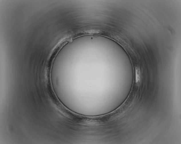 X0000115820300200911131112