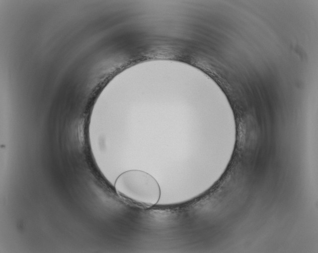 X0000115820302200911131112