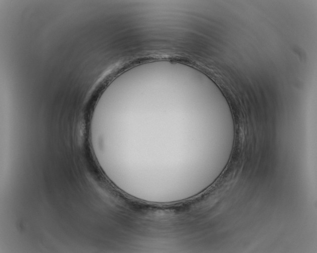 X0000115820304200911131112