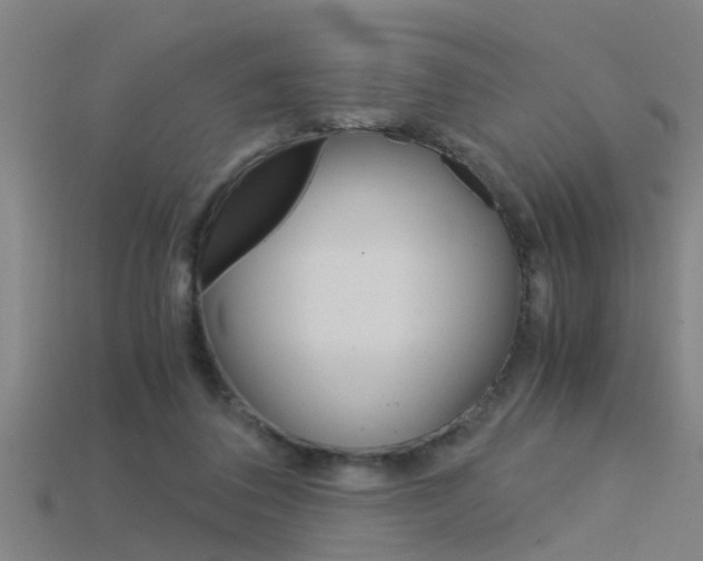 X0000115820308200911131112