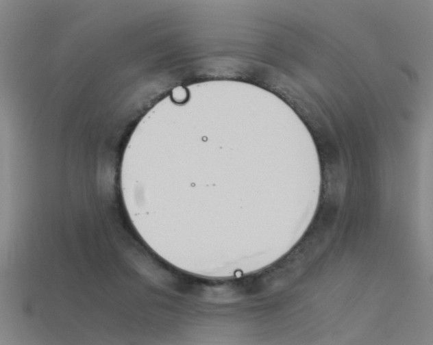 X0000115820309200911131112