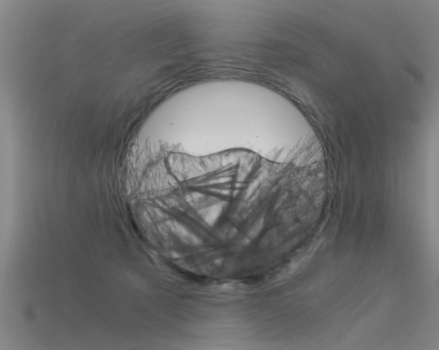 X0000115820321200911131112