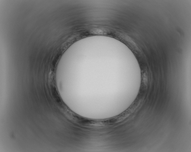 X0000115820322200911131112