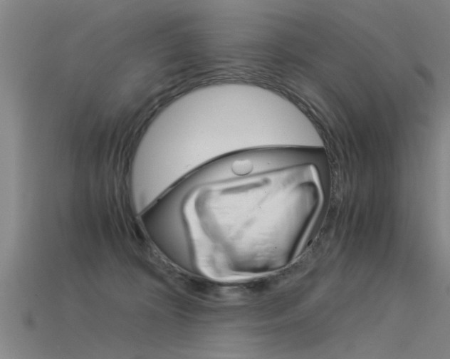 X0000115820324200911131112