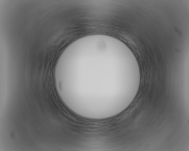 X0000115820325200911131112