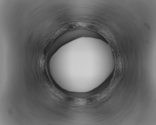 X0000115820328200911131112