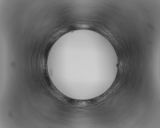 X0000115820330200911131112