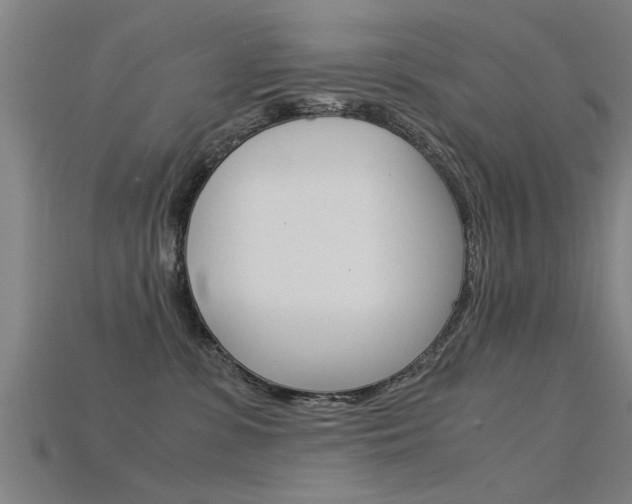 X0000115820331200911131112
